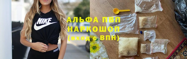 эйфоретик Беломорск