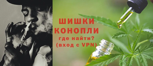 СК Белокуриха