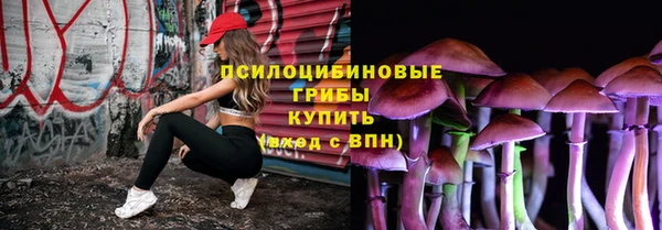СК Белокуриха