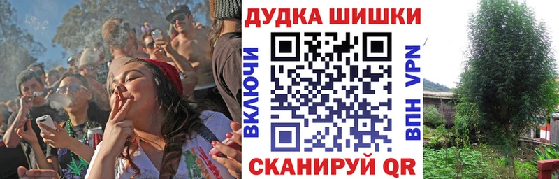 OMG рабочий сайт  Козельск  Бошки марихуана SATIVA & INDICA  купить наркотик 